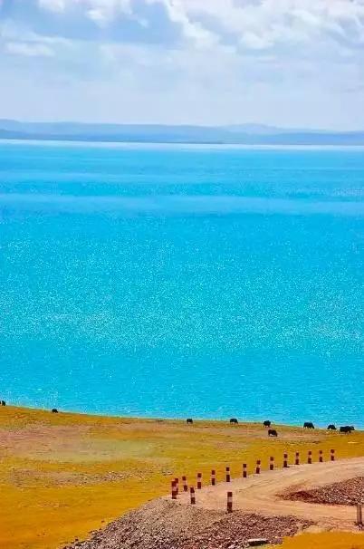 青海之韵，探索高原的独特魅力