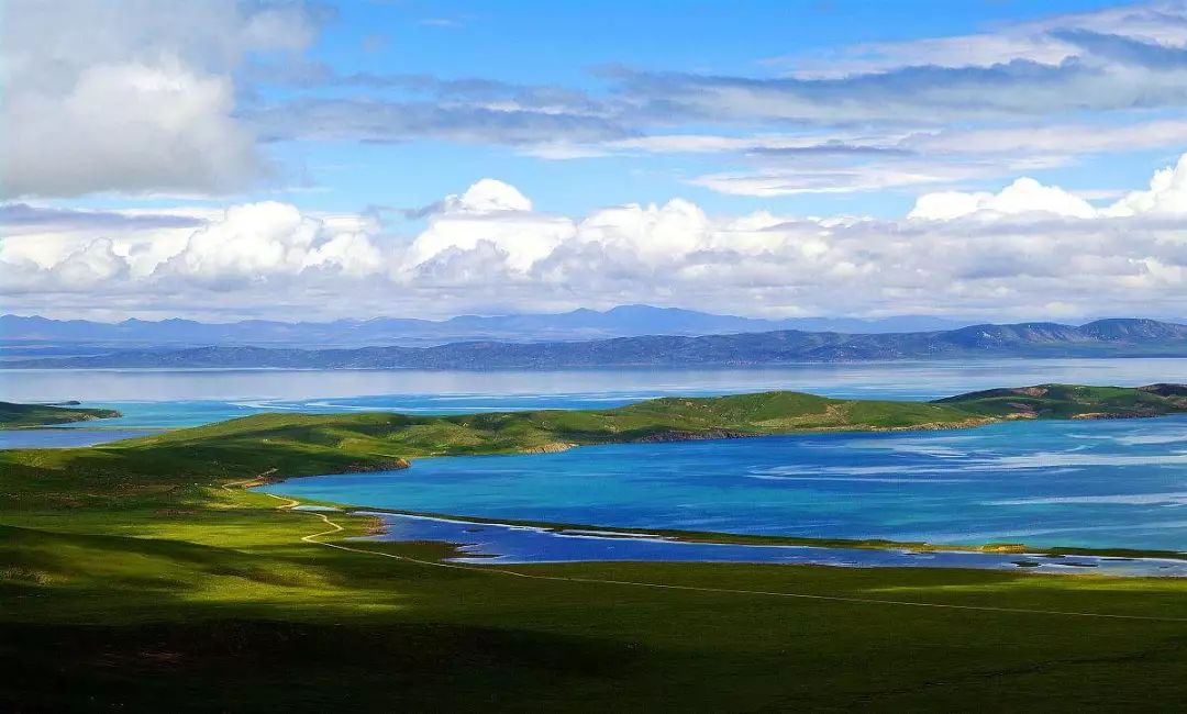青海草原暖心之旅
