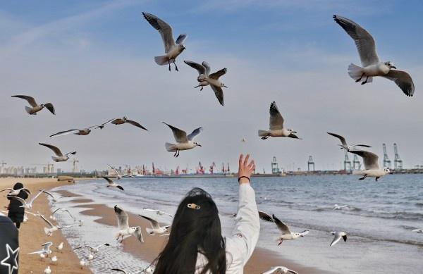 秦皇岛，探寻历史足迹，畅游文化风光